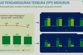 Gubernur Sulsel dorong peningkatan UMKM untuk tekan pengangguran