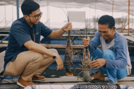 Badak LNG belajar ke Pupuk Kaltim kembangkan program Keramba Jaring Apung