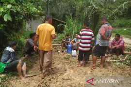 Puluhan  hektare sawah warga terendam banjir bandang di Solok