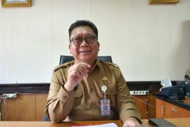 Pemprov Papua: Pembagian laba bersih PT Freeport menunggu petunjuk pusat