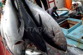 Produksi tuna di Bali pada 2022 turun ke 27.037 ton