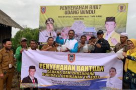 Pokdakan "Sahabatku" Tanbu Kalsel gembira terima bibit undang ratusan ribu ekor