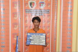 Tim Jatanras Polda Babel kembali bekuk residivis Curat, satu pelaku masih DPO