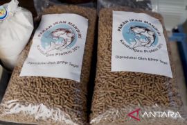 KKP ajak pembudidaya manfaatkan bahan baku lokal menjadi pakan ikan
