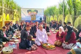 PTPN XI dorong pariwisata di Lumajang berdayakan tradisi "Petik Tebu Manten"