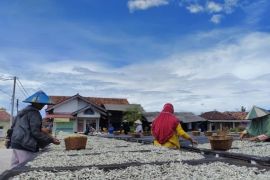 Perajin ikan teri asin Pulau Pasaran keluhkan harga garam tinggi