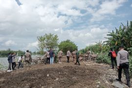 Kerbau dekati 'runway' Bandara Lombok, ini kata Angkasa Pura I