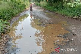 Plt Bupati ungkap bahwa 20 persen jalanan di Bogor dalam kondisi rusak