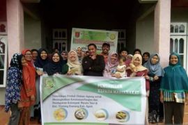 Diversifikasi produk olahan jagung untuk meningkatkan pendapatan petani jagung