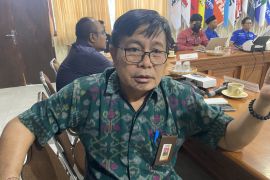 Bawaslu Bali nilai mobil pelat merah calon DPD itu langgar aturan