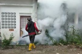 Dinkes Mamuju melakukan pengasapan untuk cegah DBD