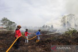 Kecamatan Jekan Raya dan Sebangau di Palangka Raya jadi prioritas penanganan karhutla