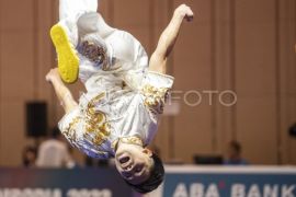 Edgar Xavier raih medali emas nomor Changquan putra