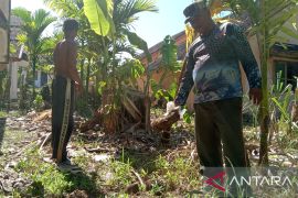 Gajah liar sering masuk pemukiman, warga takut pulang ke rumah