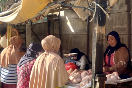 Harga telur dan ayam potong di Bandarlampung naik