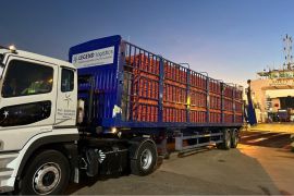 Indonesia ekspor perdana 23.040 ayam hidup ke Singapura