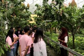 Relawan Srikandi Ganjar lakukan pelatihan olahan cokelat