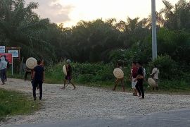 Pekerja kebun di Siak kembali bentrok dengan PT DSI, tiga orang luka-luka