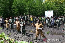 Korem 181/PVT Sorong tanam 1.900 bibit mangrove di Klawahu