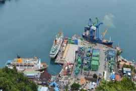 BPS sebut ekspor Papua naik 74,64 persen pada April 2023