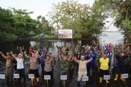 Kodim 1508/Tobelo pimpin penanaman mangrove di Halmahera