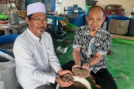 Pokdakan di Mega Timur hadirkan pakan ikan lokal memutus ketergantungan produk pabrikan