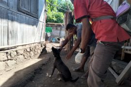 Bupati Sikka imbau masyarakat lakukan langkah antisipasi KLB rabies