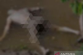 Mayat tanpa identitas ditemukan mengapung di Pidie