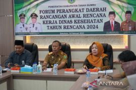 Dinkes Tanah Bumbu sampaikan tiga isu strategis pembangunan