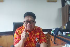 Pemprov Papua bakal gelar bebas denda PKB tingkatkan kesadaran WP