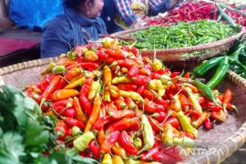 Pengamat: Sumut berpotensi  inflasi pada Mei jika harga cabai melambung