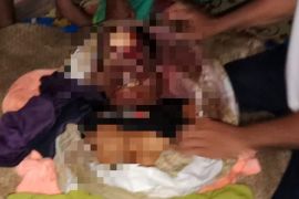 Arbain tewas diterkam harimau di hutan Inhu