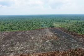 Kebakaran lahan di Rohil padam total