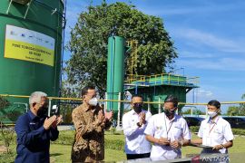 Subholding sawit PTPN diyakini akan mempercepat dekarbonisasi