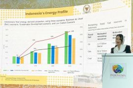 Roro Esti apresiasi konser Coldplay berkonsep ramah lingkungan