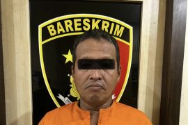 Bakar 0,5 hektare lahan, pria paruh baya di Inhil ditangkap polisi