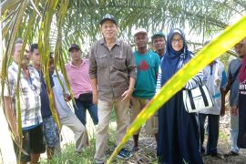 Tri Astuti: Petani kehilangan ratusan ton produksi padi selama empat tahun paceklik