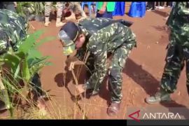 PPM Kalsel ikut berpartisipasi menanam pohon di Bukit Timah