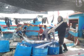 BMKG latih nelayan di Bali soal cuaca maritim