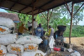 Pinang Performa Bank Raya dukung produktivitas pelaku usaha makin meningkat