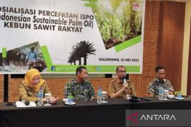 Disbun Kaltim dorong percepatan sertifikasi ISPO  kebun sawit rakyat