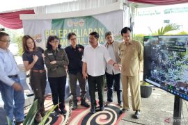 Macan tutul jawa "Wahyu" dilepasliarkan di Gunung Halimun Salak