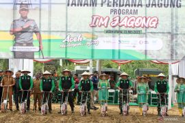 Pangdam Iskandar Muda luncurkan Program I'M Jagong,Tanam Perdana Jagung serentak di seluruh wilayah Aceh