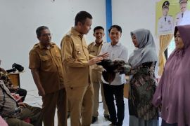 Pariaman dapat bantuan ribuan ekor ternak ayam dari pemerintah pusat