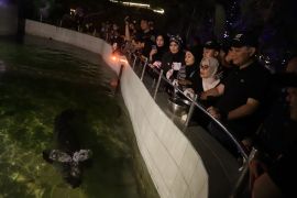 "night zoo" bagian pengembangan wisata baru di Surabaya