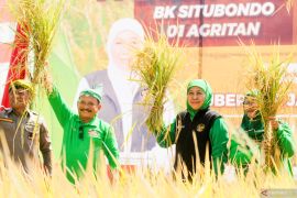 Khofifah dan Bupati Situbondo panen perdana padi BK 01 dan 02