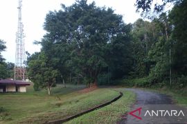 KPPU Balikpapan antisipasi sengketa bisnis menara telekomunikasi