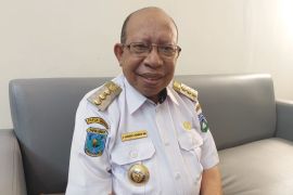 Pemerintah Wondama kembangkan kopi robusta angkat perekonomian rakyat