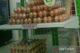 DPTPH: Stok telur ayam Kaltim cukup  meski harga naik