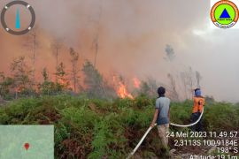 Lahan sawit warga di Pesisir Selatan terbakar, titik api terus bertambah (Video)
